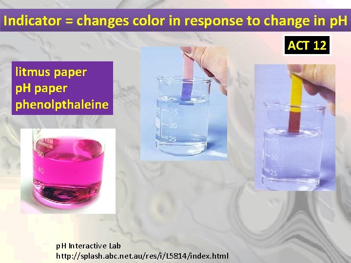 Indicator = changes color in response to change in p. H ACT 12 litmus