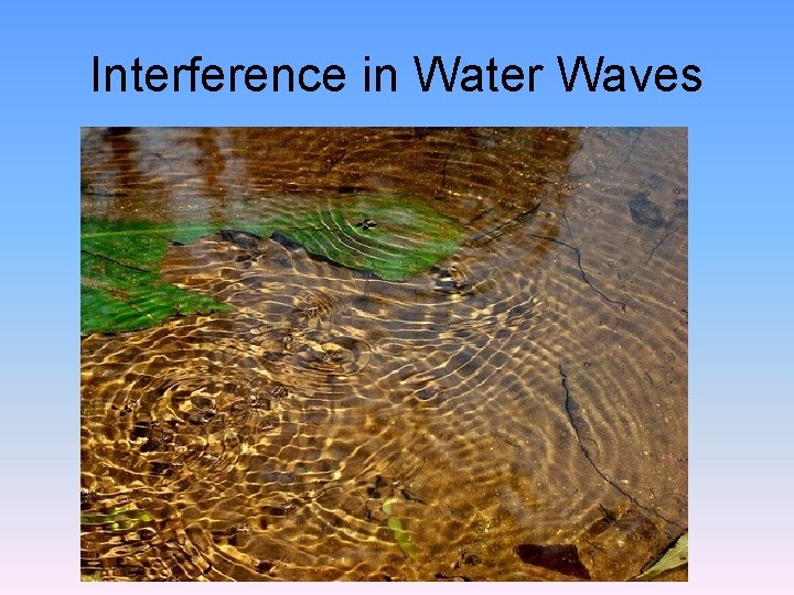 Interference in Water Waves 