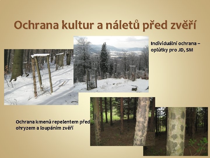 Ochrana kultur a náletů před zvěří Individuální ochrana – oplůtky pro JD, SM Ochrana