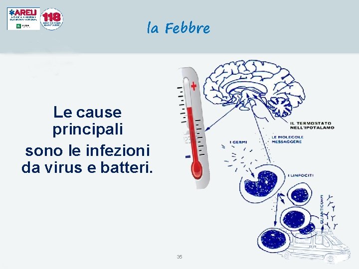 la Febbre Le cause principali sono le infezioni da virus e batteri. 35 