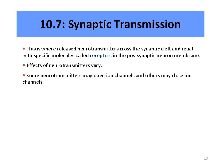 10. 7: Synaptic Transmission • This is where released neurotransmitters cross the synaptic cleft