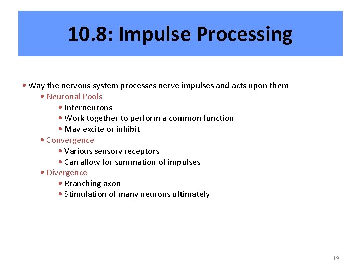 10. 8: Impulse Processing • Way the nervous system processes nerve impulses and acts