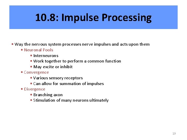 10. 8: Impulse Processing • Way the nervous system processes nerve impulses and acts 10. 8: Impulse Processing • Way the nervous system processes nerve impulses and acts