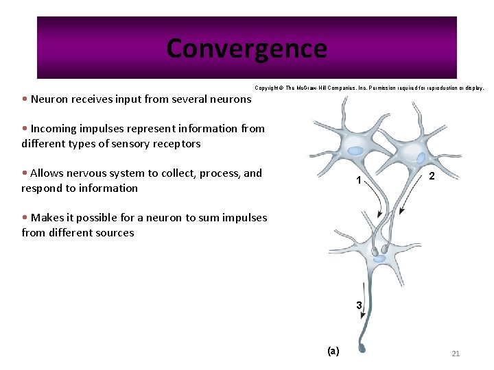 Convergence Copyright © The Mc. Graw-Hill Companies, Inc. Permission required for reproduction or display.