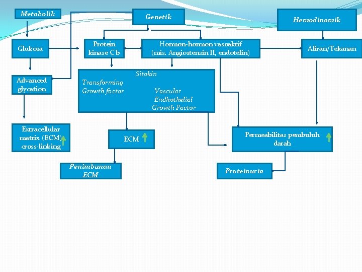 Metabolik Glukosa Advanced glycation Genetik Protein kinase C b Hormon-hormon vasoaktif (mis. Angiostensin II,