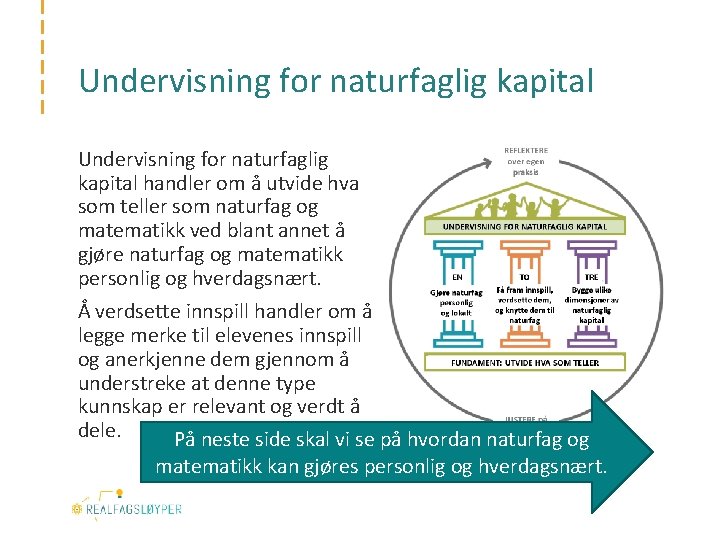 Undervisning for naturfaglig kapital handler om å utvide hva som teller som naturfag og