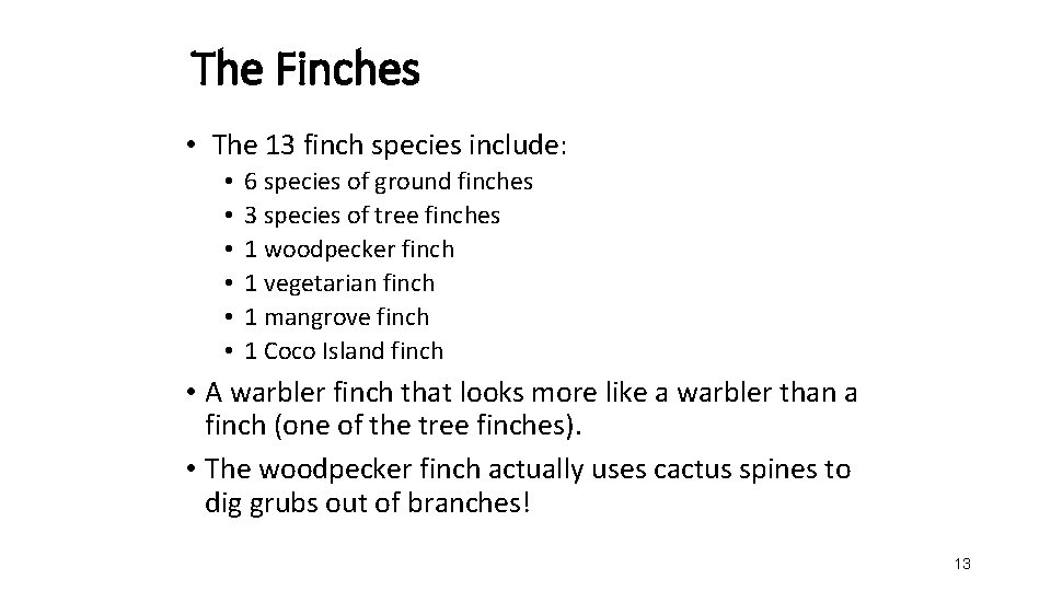 The Finches • The 13 finch species include: • • • 6 species of