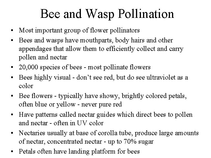Bee and Wasp Pollination • Most important group of flower pollinators • Bees and