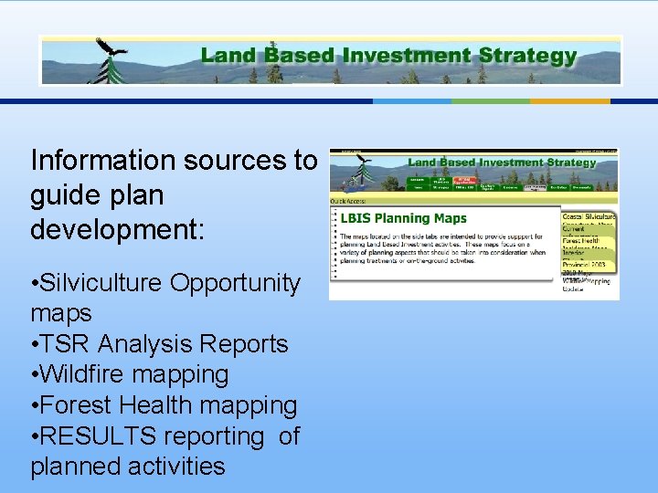 Information sources to guide plan development: • Silviculture Opportunity maps • TSR Analysis Reports