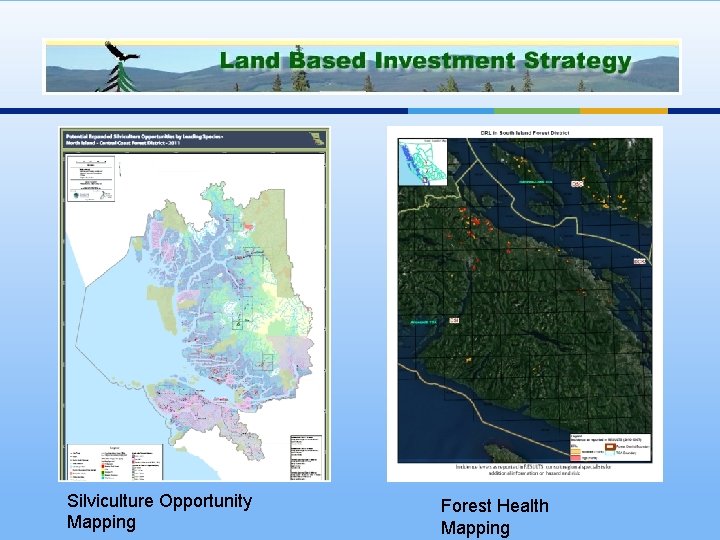 Silviculture Opportunity Mapping Forest Health Mapping 