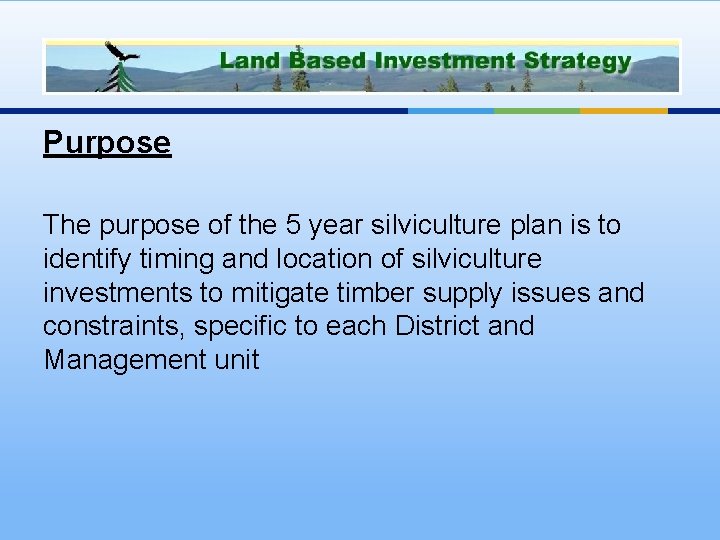 Purpose The purpose of the 5 year silviculture plan is to identify timing and