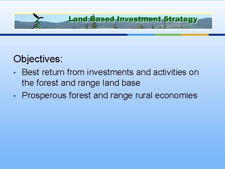 LBIS Objectives: • • Best return from investments and activities on the forest and