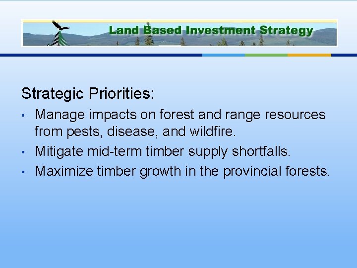 LBIS Objectives Strategic Priorities: • • • Manage impacts on forest and range resources