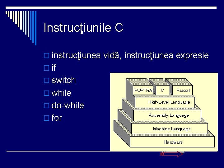 Instrucţiunile C o instrucţiunea vidă, instrucţiunea expresie o if o switch o while o