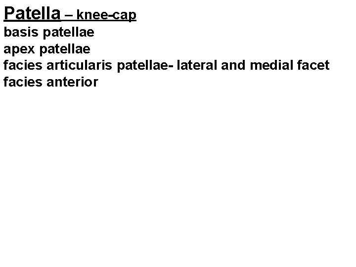 Patella – knee-cap basis patellae apex patellae facies articularis patellae- lateral and medial facet