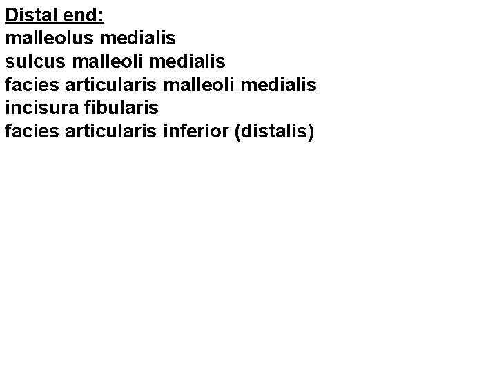 Distal end: malleolus medialis sulcus malleoli medialis facies articularis malleoli medialis incisura fibularis facies