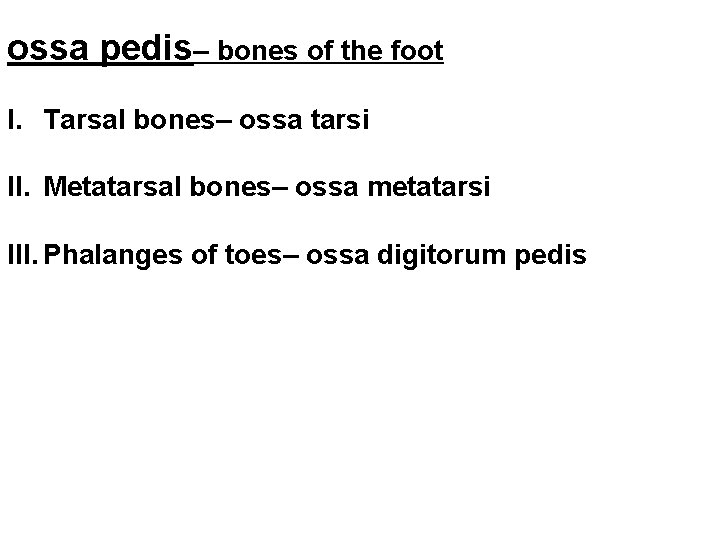 ossa pedis– bones of the foot I. Tarsal bones– ossa tarsi II. Metatarsal bones–