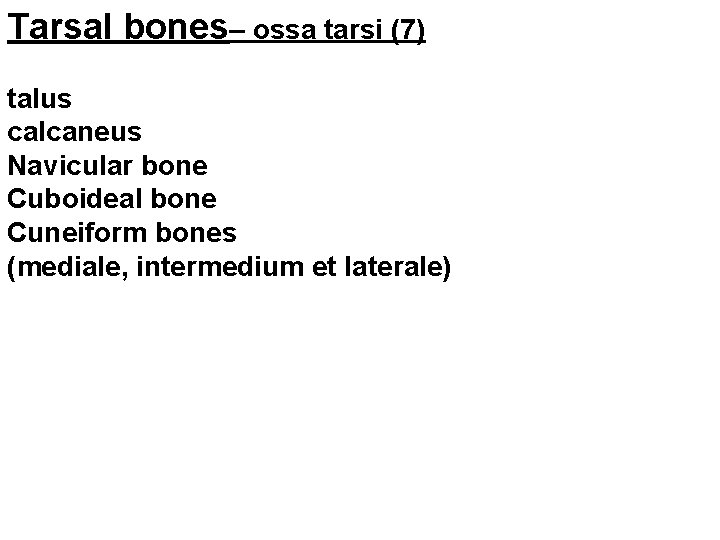 Tarsal bones– ossa tarsi (7) talus calcaneus Navicular bone Cuboideal bone Cuneiform bones (mediale,