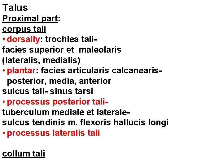 Talus Proximal part: corpus tali • dorsally: trochlea talifacies superior et maleolaris (lateralis, medialis)