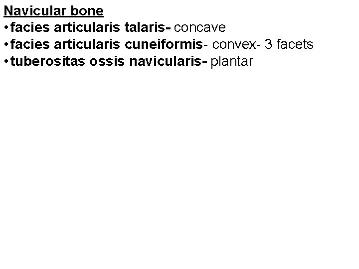 Navicular bone • facies articularis talaris- concave • facies articularis cuneiformis- convex- 3 facets