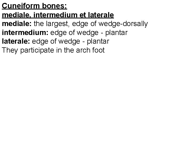 Cuneiform bones: mediale, intermedium et laterale mediale: the largest, edge of wedge-dorsally intermedium: edge