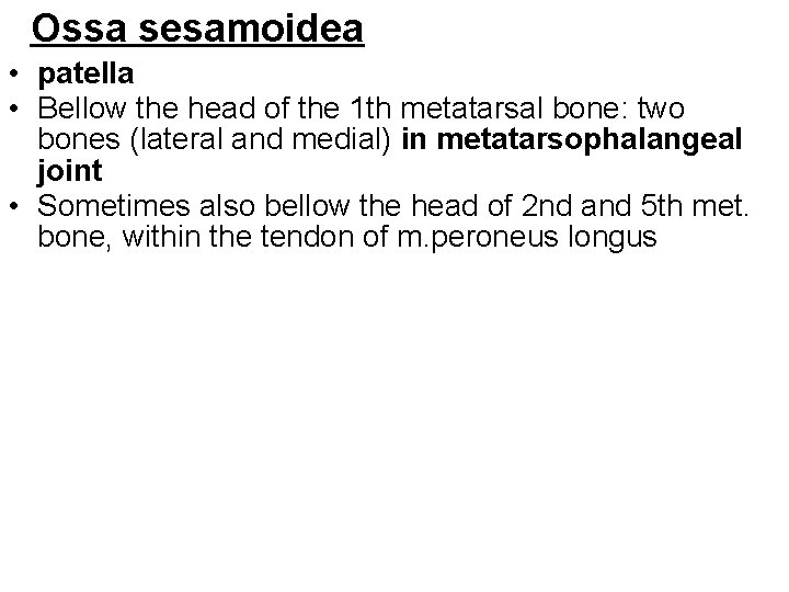 Ossa sesamoidea • patella • Bellow the head of the 1 th metatarsal bone: