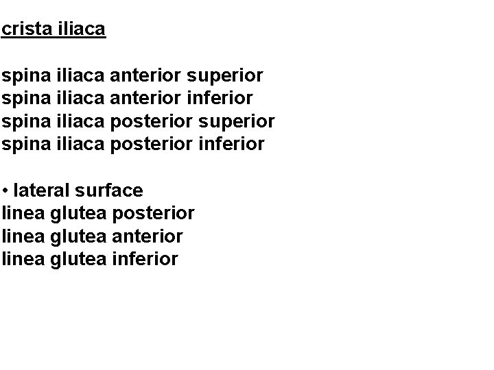 crista iliaca spina iliaca anterior superior spina iliaca anterior inferior spina iliaca posterior superior