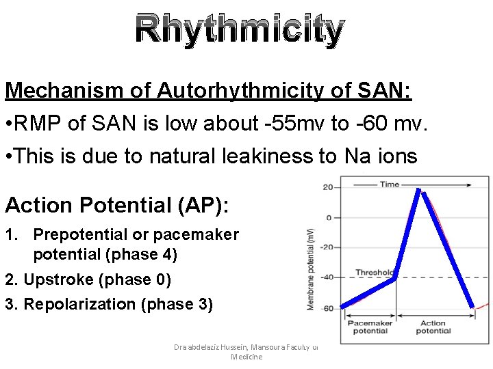 Rhythmicity Mechanism of Autorhythmicity of SAN: • RMP of SAN is low about -55