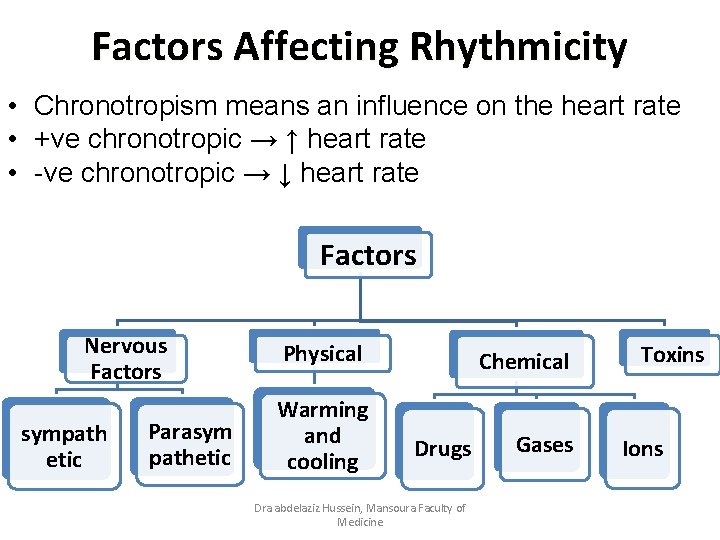 Factors Affecting Rhythmicity • Chronotropism means an influence on the heart rate • +ve
