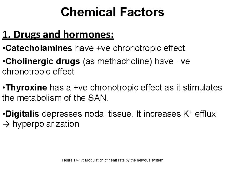 Chemical Factors 1. Drugs and hormones: • Catecholamines have +ve chronotropic effect. • Cholinergic