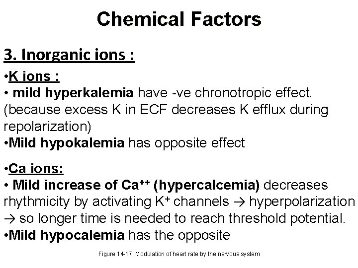 Chemical Factors 3. Inorganic ions : • K ions : • mild hyperkalemia have