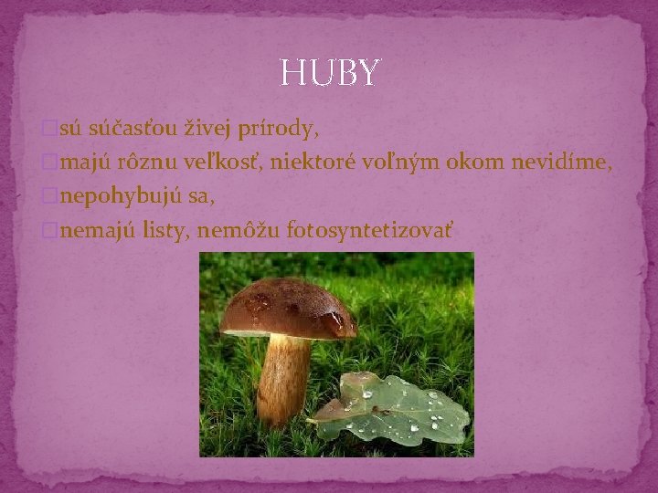 HUBY �sú súčasťou živej prírody, �majú rôznu veľkosť, niektoré voľným okom nevidíme, �nepohybujú sa, HUBY �sú súčasťou živej prírody, �majú rôznu veľkosť, niektoré voľným okom nevidíme, �nepohybujú sa,