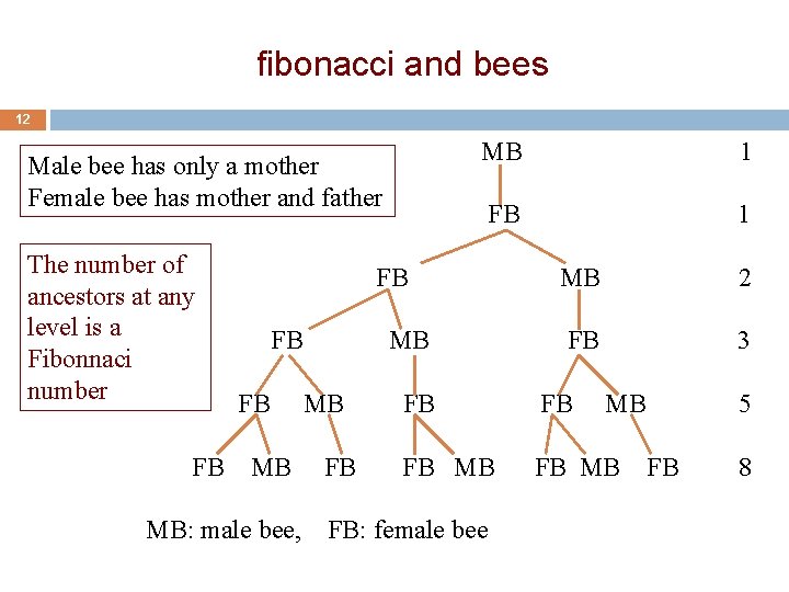 fibonacci and bees 12 Male bee has only a mother Female bee has mother