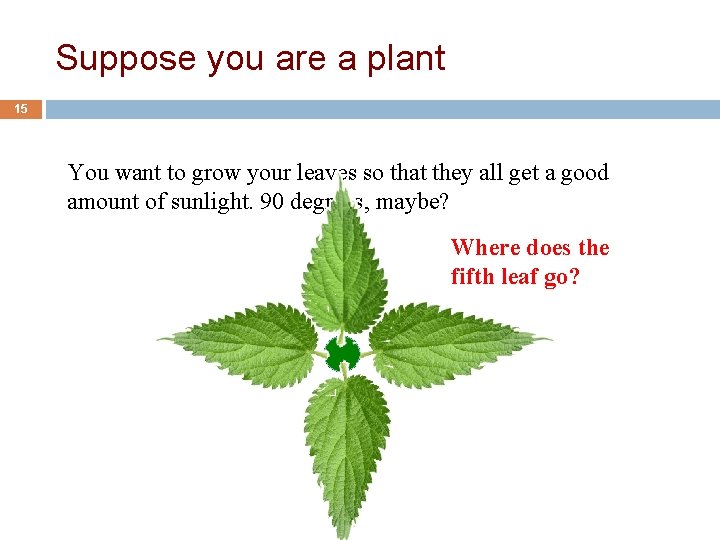 Suppose you are a plant 15 You want to grow your leaves so that