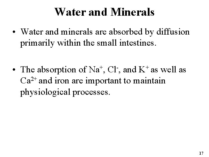 Water and Minerals • Water and minerals are absorbed by diffusion primarily within the