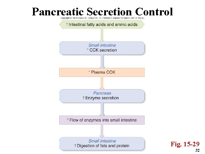 Pancreatic Secretion Control Fig. 15 -29 32 