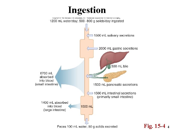 Ingestion Fig. 15 -4 4 