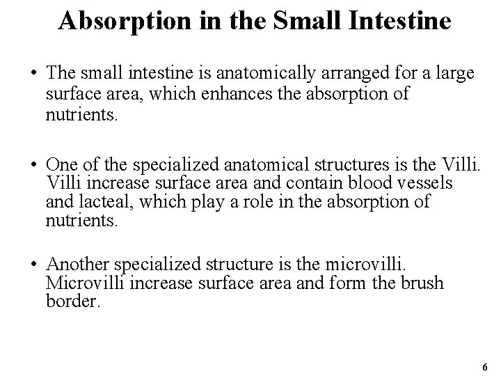 Absorption in the Small Intestine • The small intestine is anatomically arranged for a