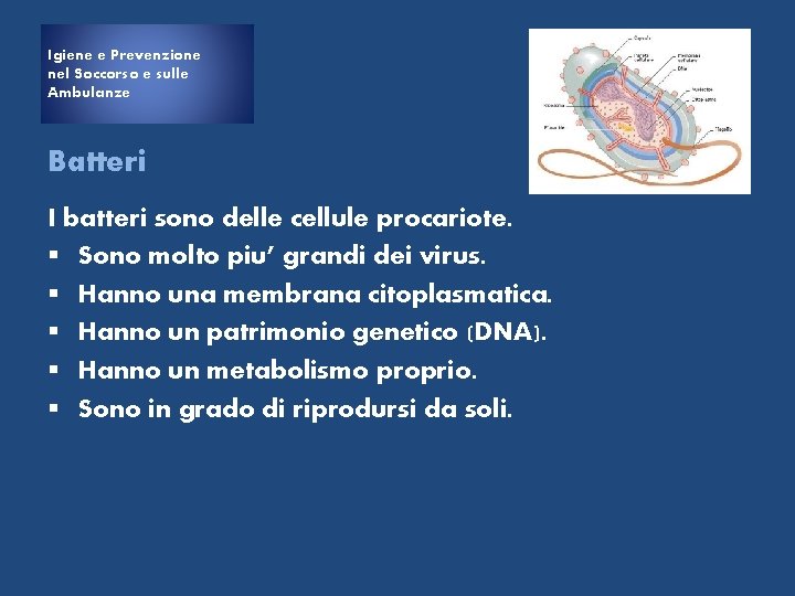 Igiene e Prevenzione nel Soccorso e sulle Ambulanze Batteri I batteri sono delle cellule