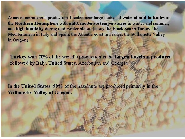 Areas of commercial production located near large bodies of water at mid-latitudes in the