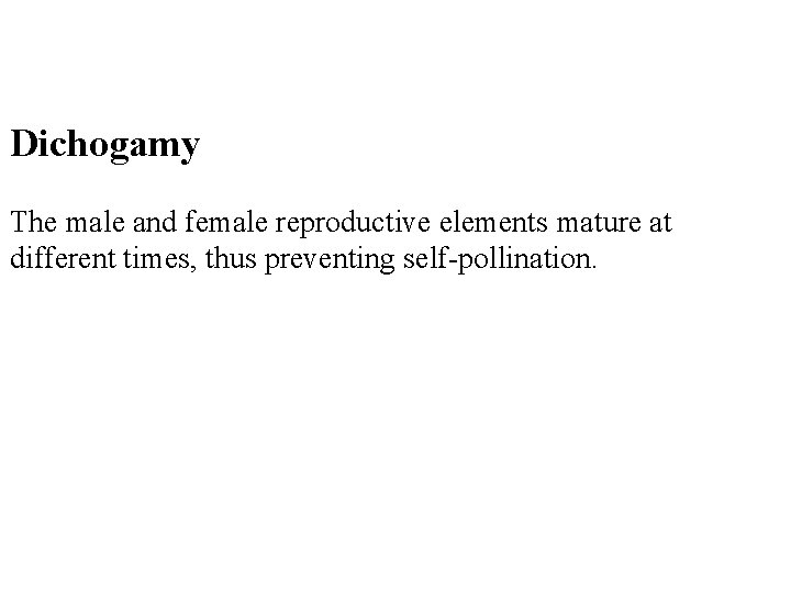 Dichogamy The male and female reproductive elements mature at different times, thus preventing self-pollination.