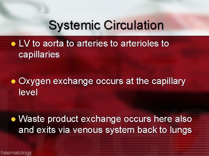 Systemic Circulation l LV to aorta to arteries to arterioles to capillaries l Oxygen