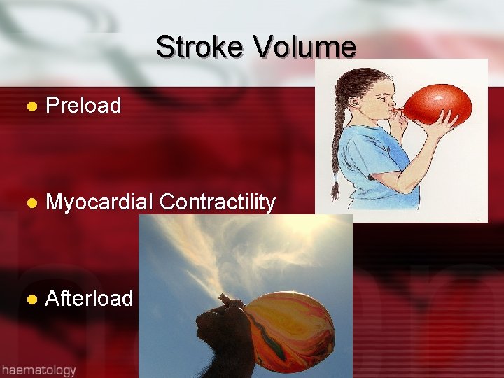 Stroke Volume l Preload l Myocardial Contractility l Afterload 