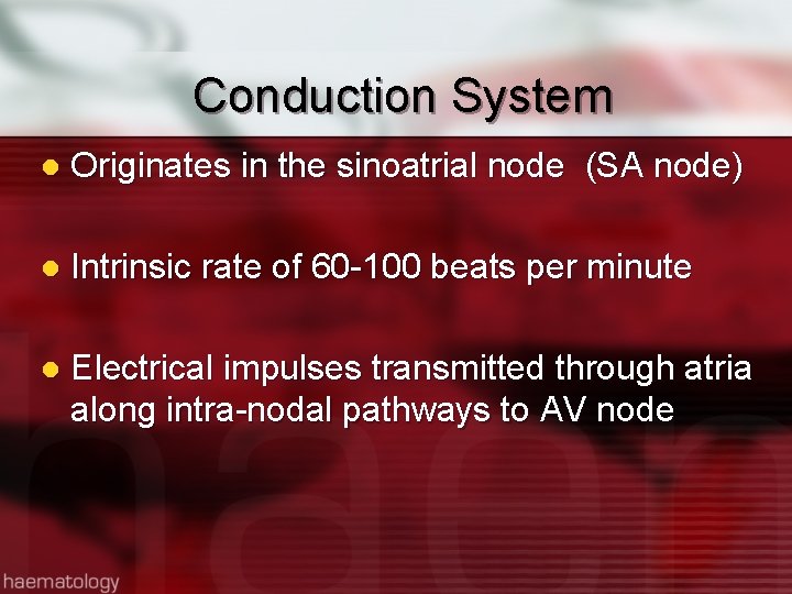 Conduction System l Originates in the sinoatrial node (SA node) l Intrinsic rate of