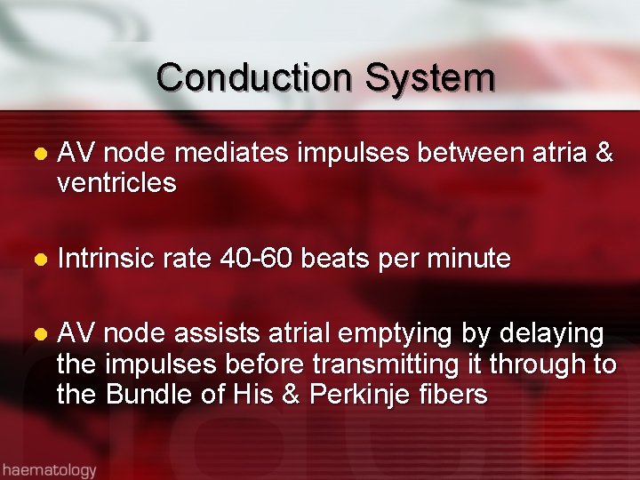 Conduction System l AV node mediates impulses between atria & ventricles l Intrinsic rate