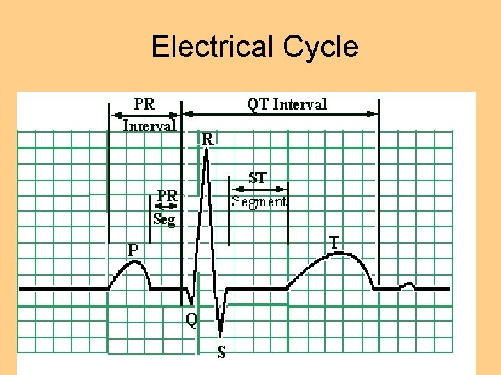 Electrical Cycle 