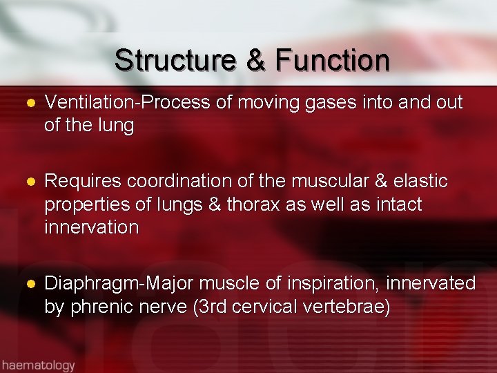 Structure & Function l Ventilation-Process of moving gases into and out of the lung