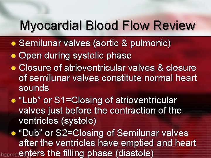 Myocardial Blood Flow Review Semilunar valves (aortic & pulmonic) l Open during systolic phase