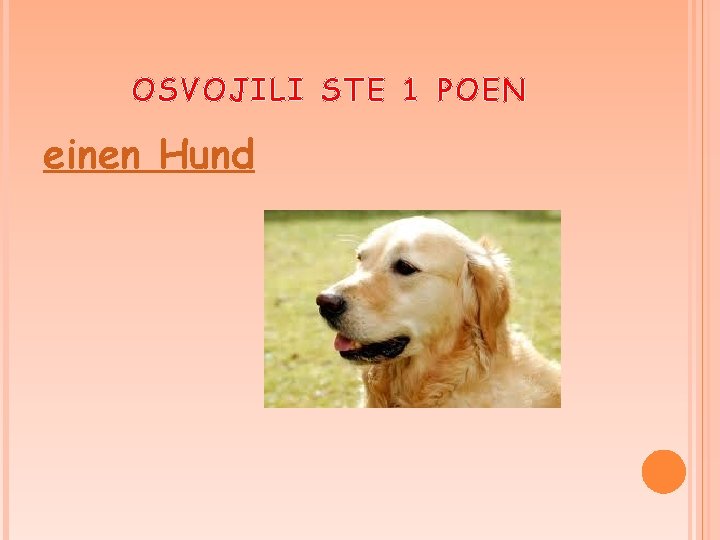 OSVOJILI STE 1 POEN einen Hund 