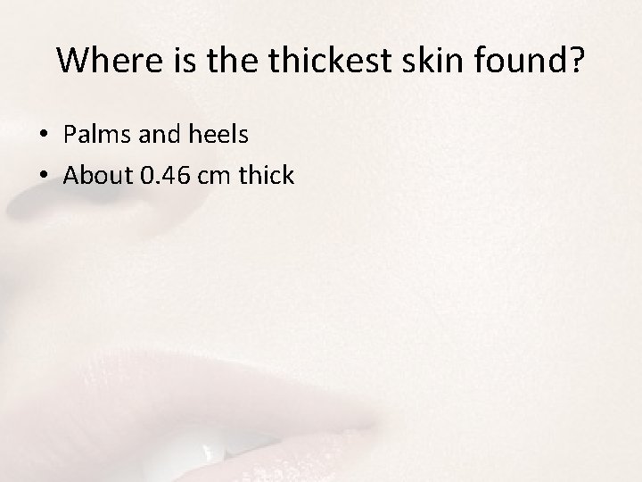 Where is the thickest skin found? • Palms and heels • About 0. 46